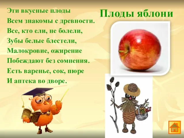 Плоды яблони Эти вкусные плоды Всем знакомы с древности. Все, кто ели,