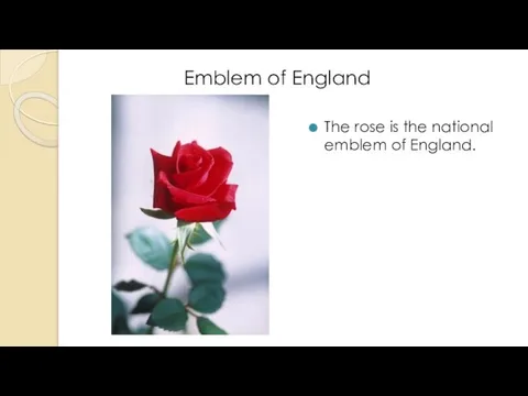 The rose is the national emblem of England. Emblem of England
