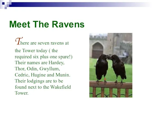 Meet The Ravens There are seven ravens at the Tower today (