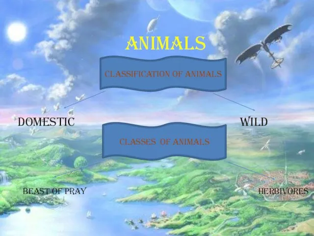 Animals Domestic Wild classification of animals Classes of animals beast of pray herbivores