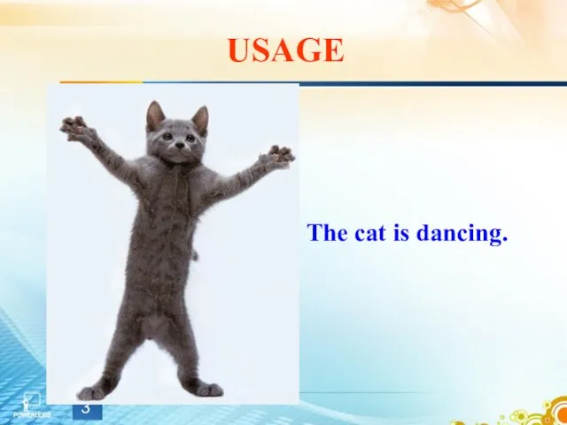 USAGE The cat is dancing.