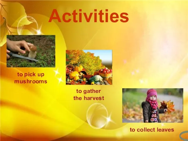 to pick up mushrooms to gather the harvest to collect leaves Activities