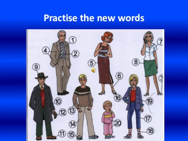 Practise the new words