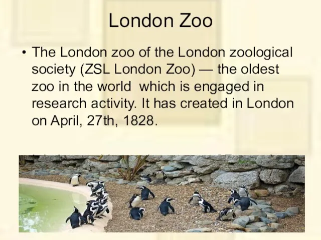 London Zoo The London zoo of the London zoological society (ZSL London