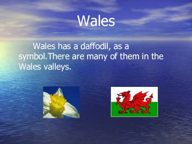 Wales Wales has a daffodil, as a symbol.There are many of them in the Wales valleys.