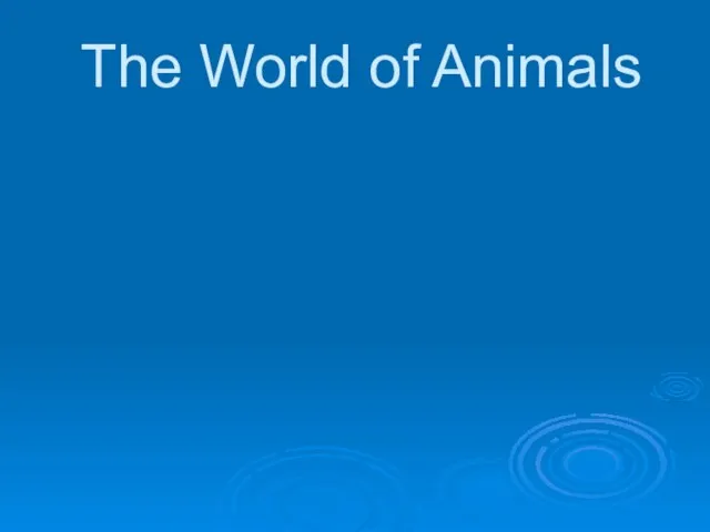 Презентация на тему The World of Animals
