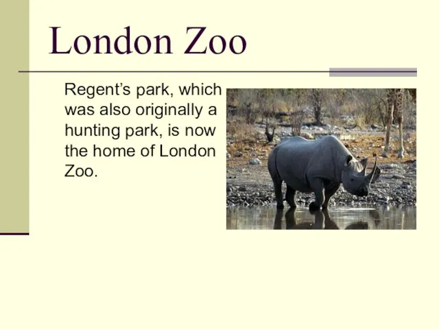 London Zoo Regent’s park, which was also originally a hunting park, is