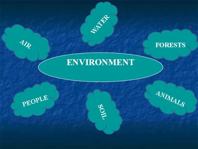 ENVIRONMENT WATER FORESTS ANIMALS SOIL PEOPLE AIR