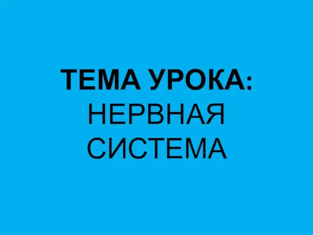 ТЕМА УРОКА: НЕРВНАЯ СИСТЕМА