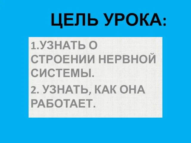 ЦЕЛЬ УРОКА: 1.УЗНАТЬ О СТРОЕНИИ НЕРВНОЙ СИСТЕМЫ. 2. УЗНАТЬ, КАК ОНА РАБОТАЕТ.