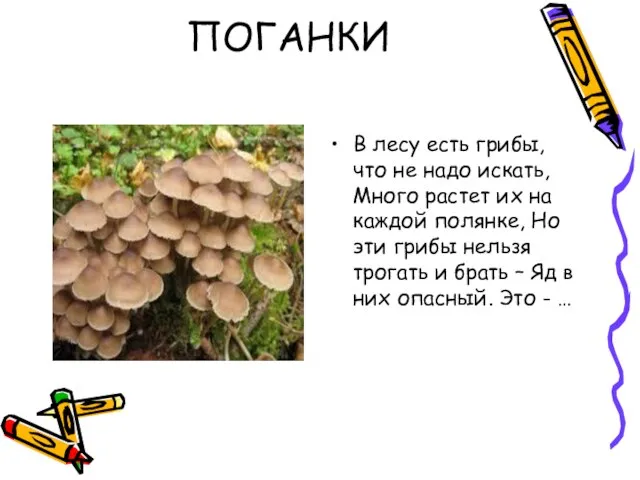 ПОГАНКИ В лесу есть грибы, что не надо искать, Много растет их