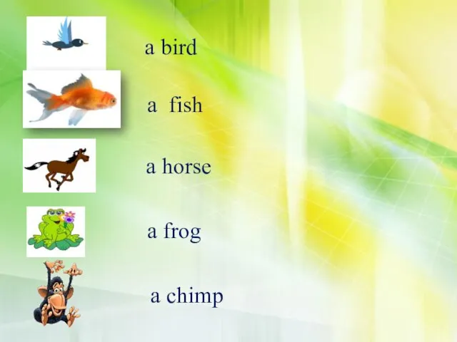 a bird a fish a horse a frog a chimp