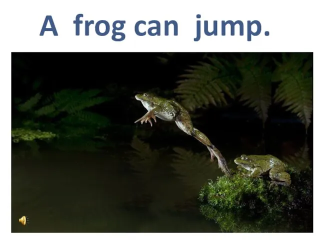 A frog can jump.