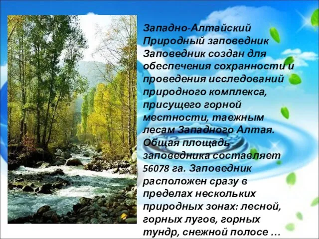 Западно-Алтайский Природный заповедник Заповедник создан для обеспечения сохранности и проведения исследований природного