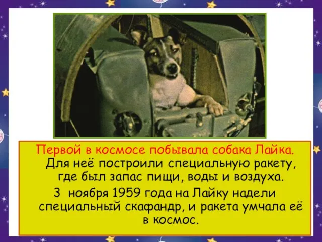 Первой в космосе побывала собака Лайка. Для неё построили специальную ракету, где