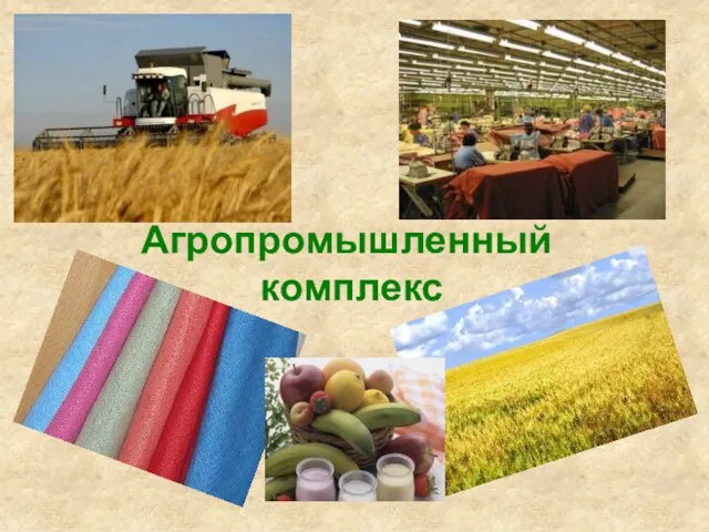 Презентация на тему Агропромышленный комплекс России
