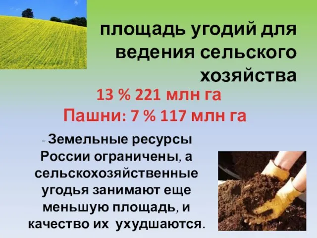 площадь угодий для ведения сельского хозяйства 13 % 221 млн га Пашни: