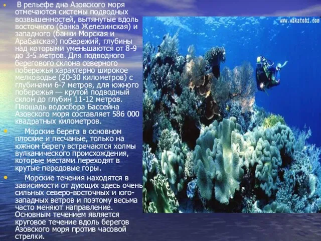 В рельефе дна Азовского моря отмечаются системы подводных возвышенностей, вытянутые вдоль восточного