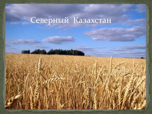 Презентация на тему Северный Казахстан