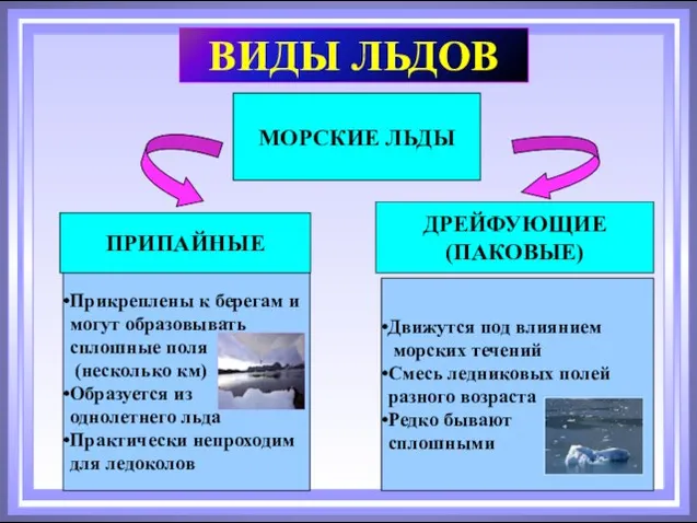 МОРСКИЕ ЛЬДЫ ПРИПАЙНЫЕ ДРЕЙФУЮЩИЕ (ПАКОВЫЕ) Прикреплены к берегам и могут образовывать сплошные