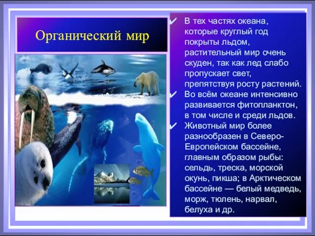 Органический мир В тех частях океана, которые круглый год покрыты льдом, растительный