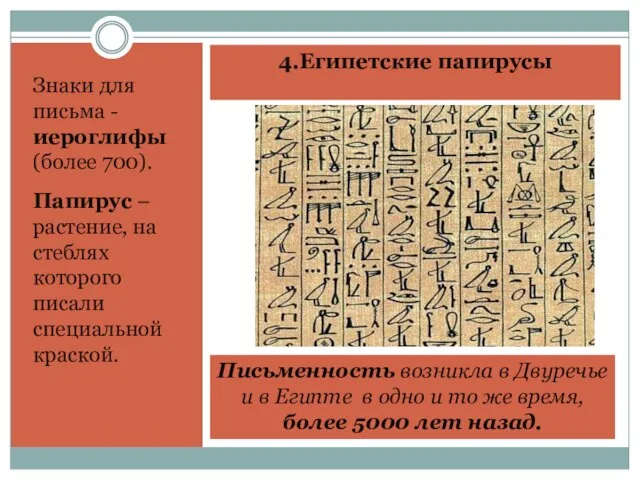4.Египетские папирусы Знаки для письма - иероглифы (более 700). Папирус –растение, на
