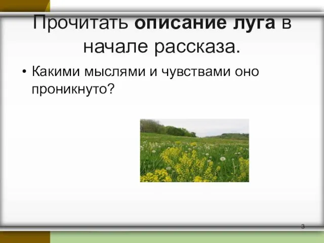 Прочитать описание луга в начале рассказа. Какими мыслями и чувствами оно проникнуто?