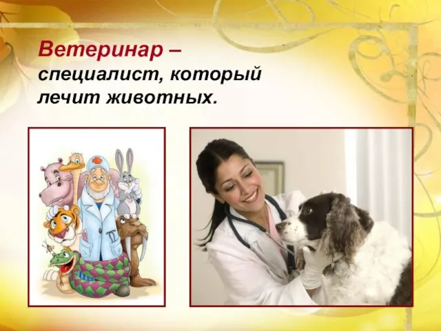 Ветеринар – специалист, который лечит животных. Ветеринар – специалист, который лечит животных.