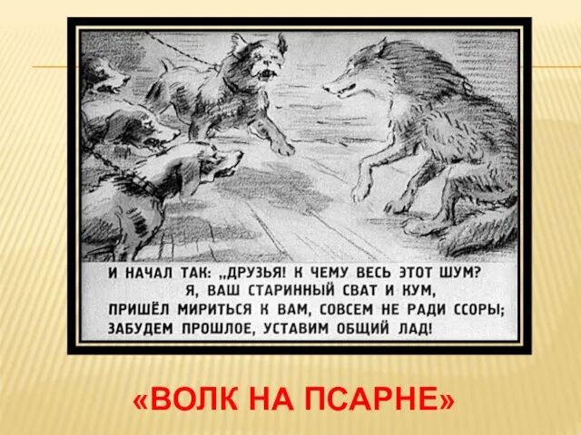 «волк на псарне»