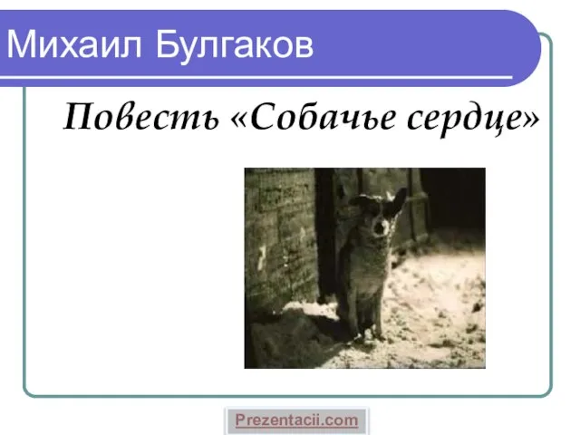 Презентация на тему Булгаков "Собачье сердце"
