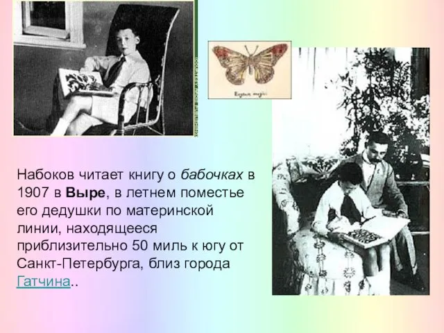 Набоков читает книгу о бабочках в 1907 в Выре, в летнем поместье