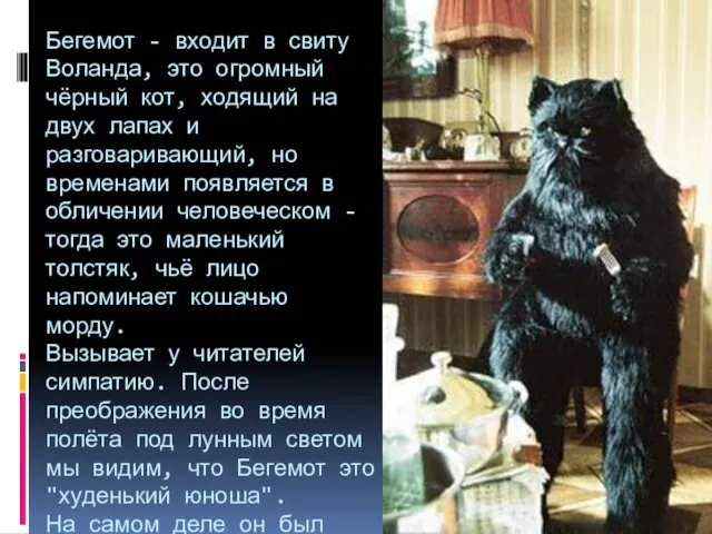 Бегемот - входит в свиту Воланда, это огромный чёрный кот, ходящий на