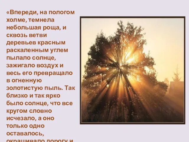 «Впереди, на пологом холме, темнела небольшая роща, и сквозь ветви деревьев красным