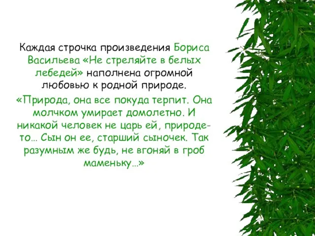 Каждая строчка произведения Бориса Васильева «Не стреляйте в белых лебедей» наполнена огромной