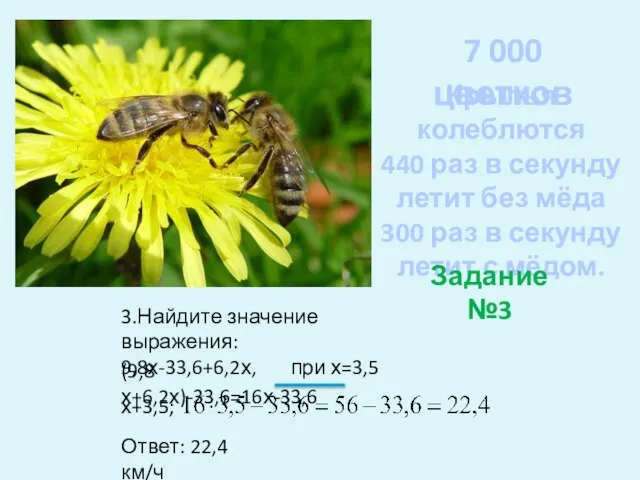 7 000 цветков Крылья колеблются 440 раз в секунду летит без мёда