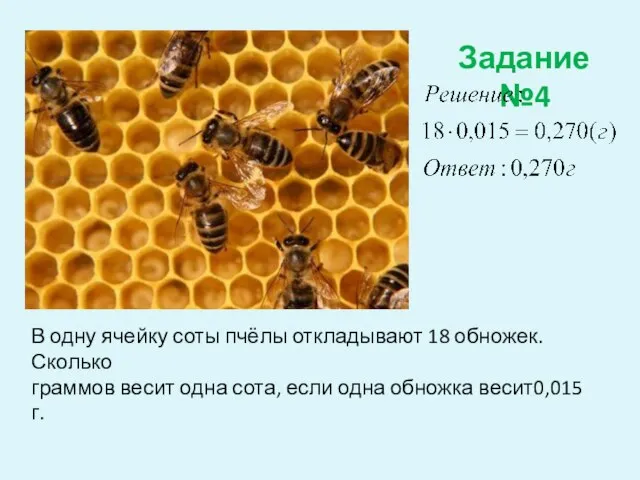 Задание №4 В одну ячейку соты пчёлы откладывают 18 обножек. Сколько граммов