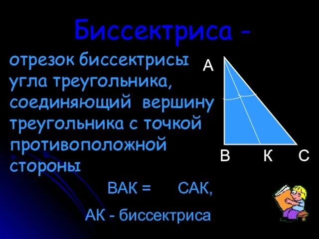 Биссектриса - отрезок биссектрисы угла треугольника, соединяющий вершину треугольника с точкой противоположной