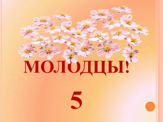 МОЛОДЦЫ! 5