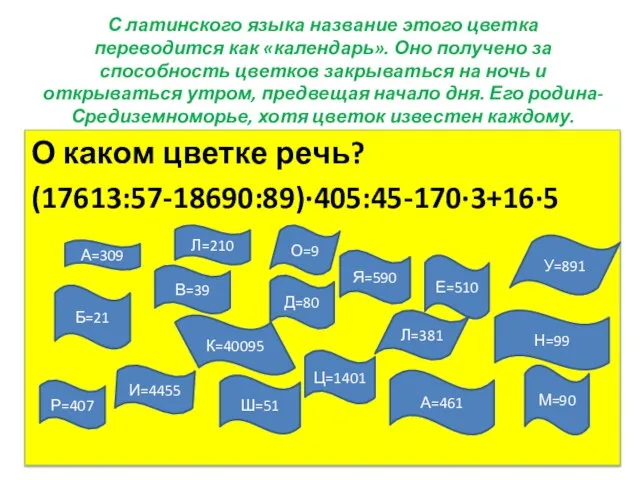 С латинского языка название этого цветка переводится как «календарь». Оно получено за