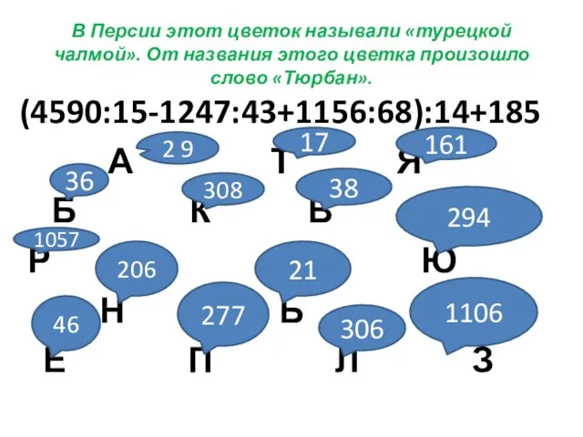 В Персии этот цветок называли «турецкой чалмой». От названия этого цветка произошло