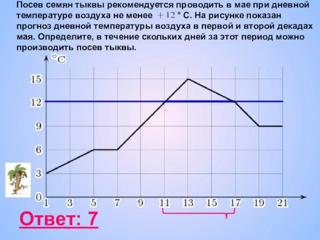 Посев семян тыквы рекомендуется проводить в мае при дневной температуре воздуха не