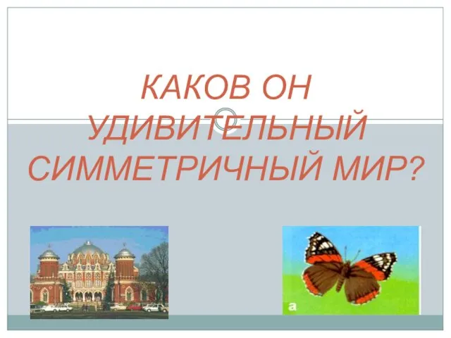 КАКОВ ОН УДИВИТЕЛЬНЫЙ СИММЕТРИЧНЫЙ МИР?