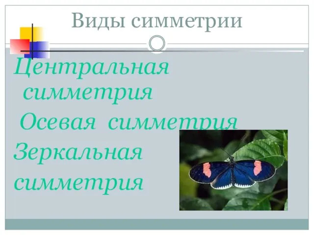 Виды симметрии Центральная симметрия Осевая симметрия Зеркальная симметрия