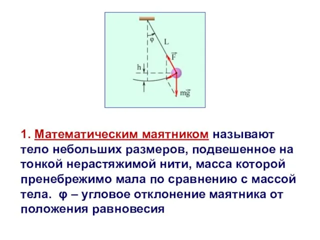 1. Математическим маятником называют тело небольших размеров, подвешенное на тонкой нерастяжимой нити,