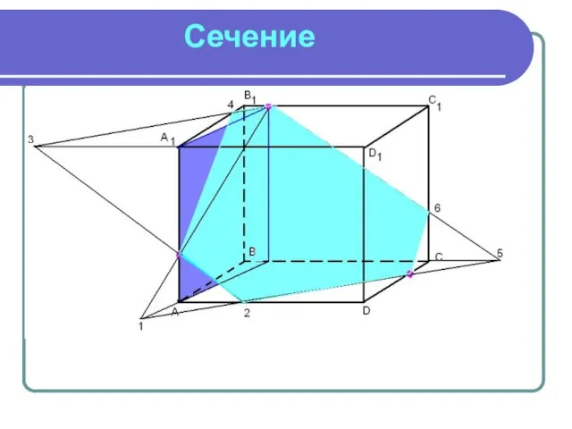 Сечение