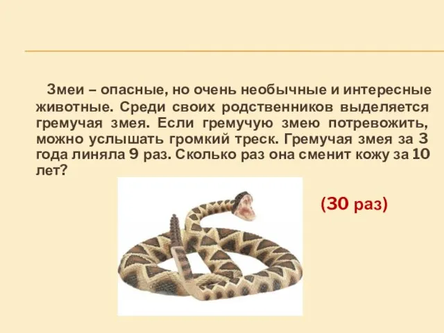 Змеи – опасные, но очень необычные и интересные животные. Среди своих родственников