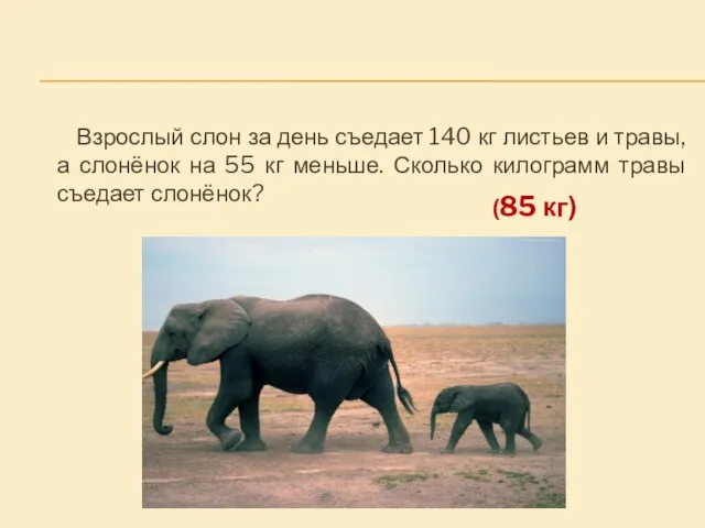 Взрослый слон за день съедает 140 кг листьев и травы, а слонёнок