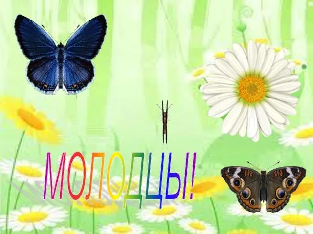 МОЛОДЦЫ!