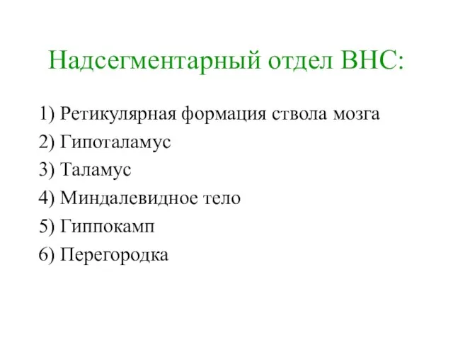 Надсегментарный отдел ВНС: 1) Ретикулярная формация ствола мозга 2) Гипоталамус 3) Таламус