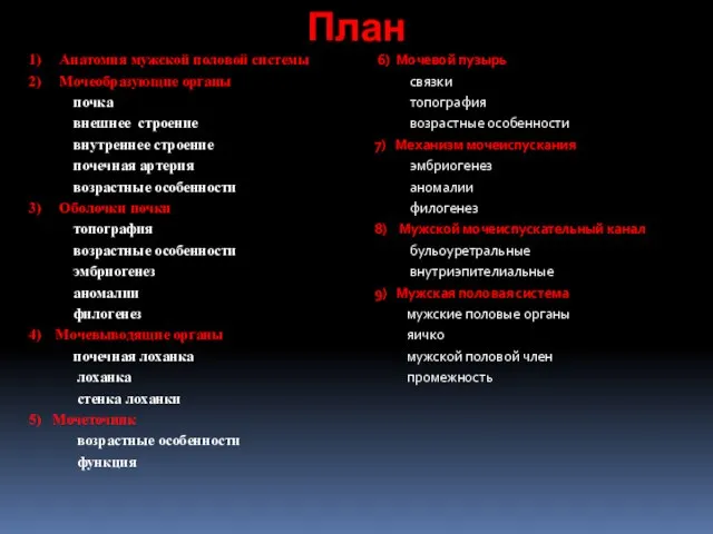 1) Анатомия мужской половой системы 2) Мочеобразующие органы почка внешнее строение внутреннее